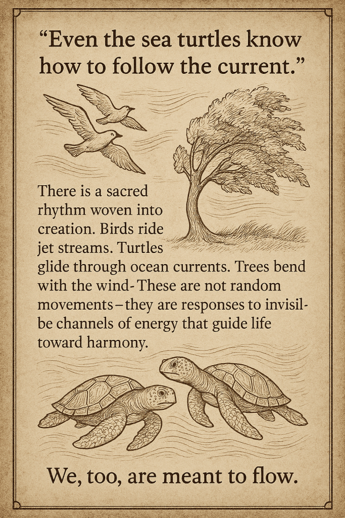 Sketch-style illustration of birds riding air currents, trees bending in the wind, and sea turtles gliding through ocean currents, with a quote about divine energy flow.